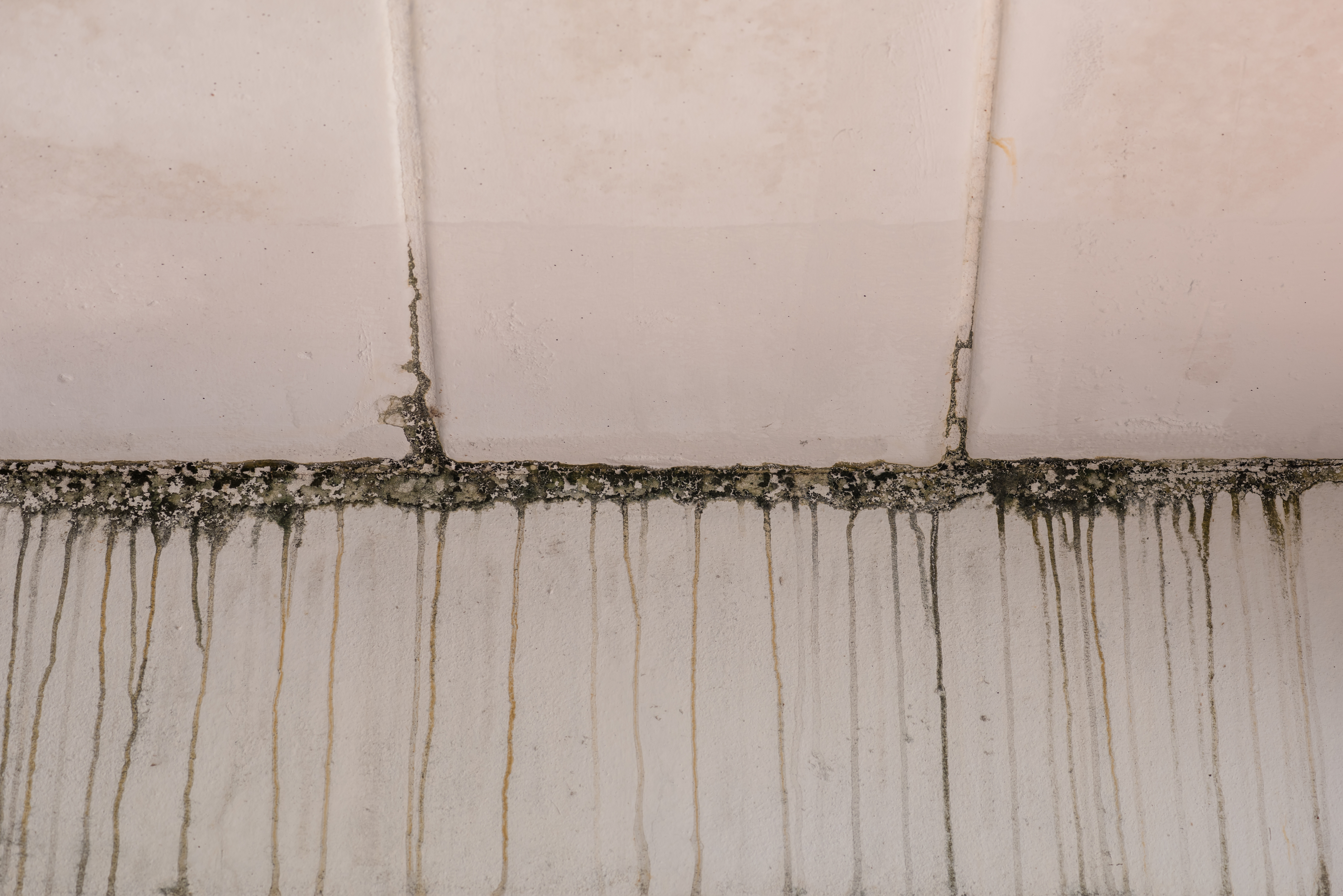 SecoMadrid humedad de tejado reparado